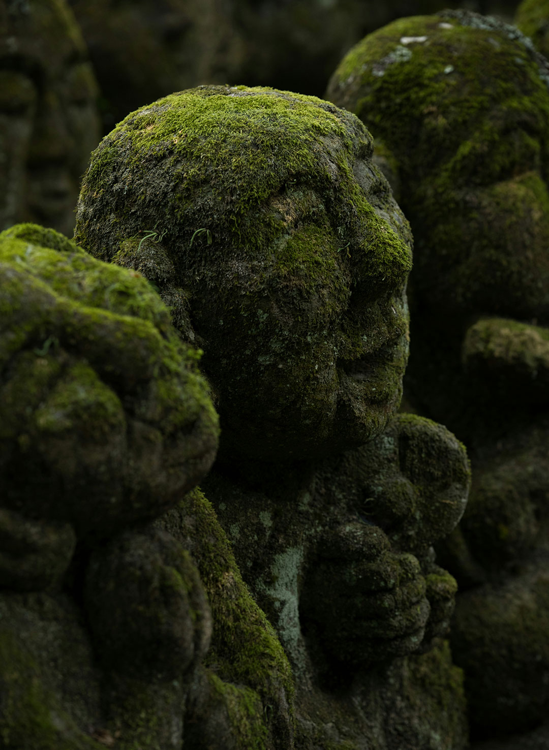 Aspernatur eius repellat velit velit.